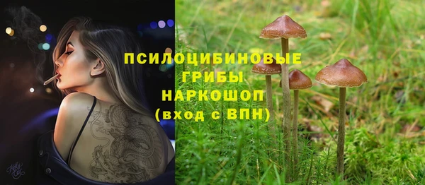 стафф Алексин