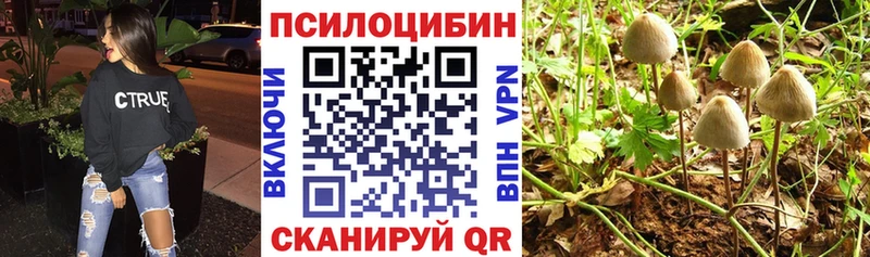 Галлюциногенные грибы ЛСД Пойковский