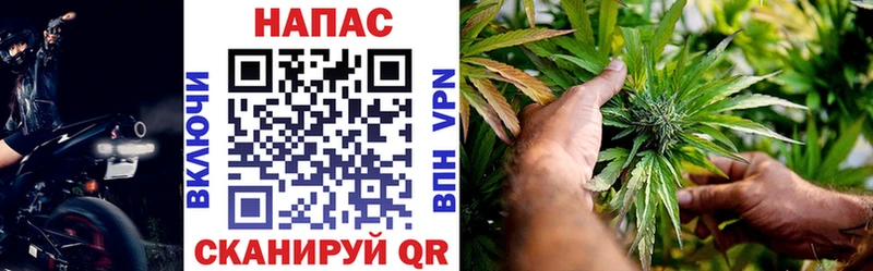 hydra сайт Пойковский darknet телеграм МАРИХУАНА гибрид